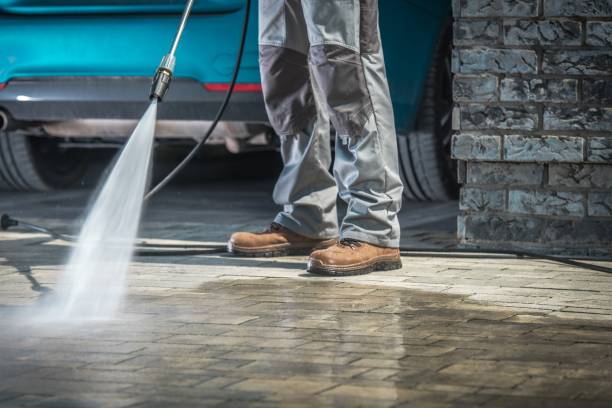 Best Pre-Holiday Cleaning  in Saticoy, CA