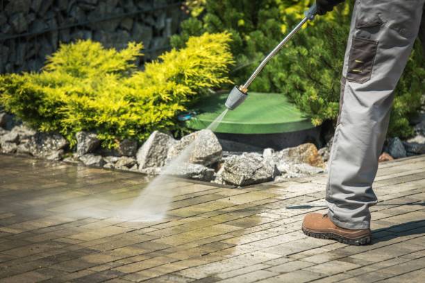 Best Animal Enclosure Cleaning  in Saticoy, CA